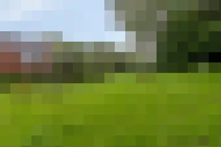 Kremersheerd 87 Groningen thumbnail 32
