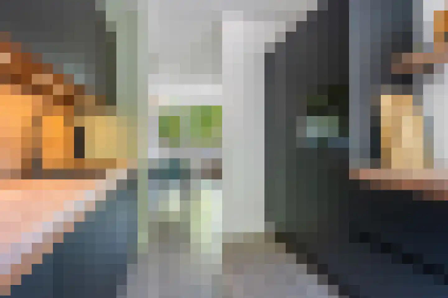 Kremersheerd 92 Groningen thumbnail 18