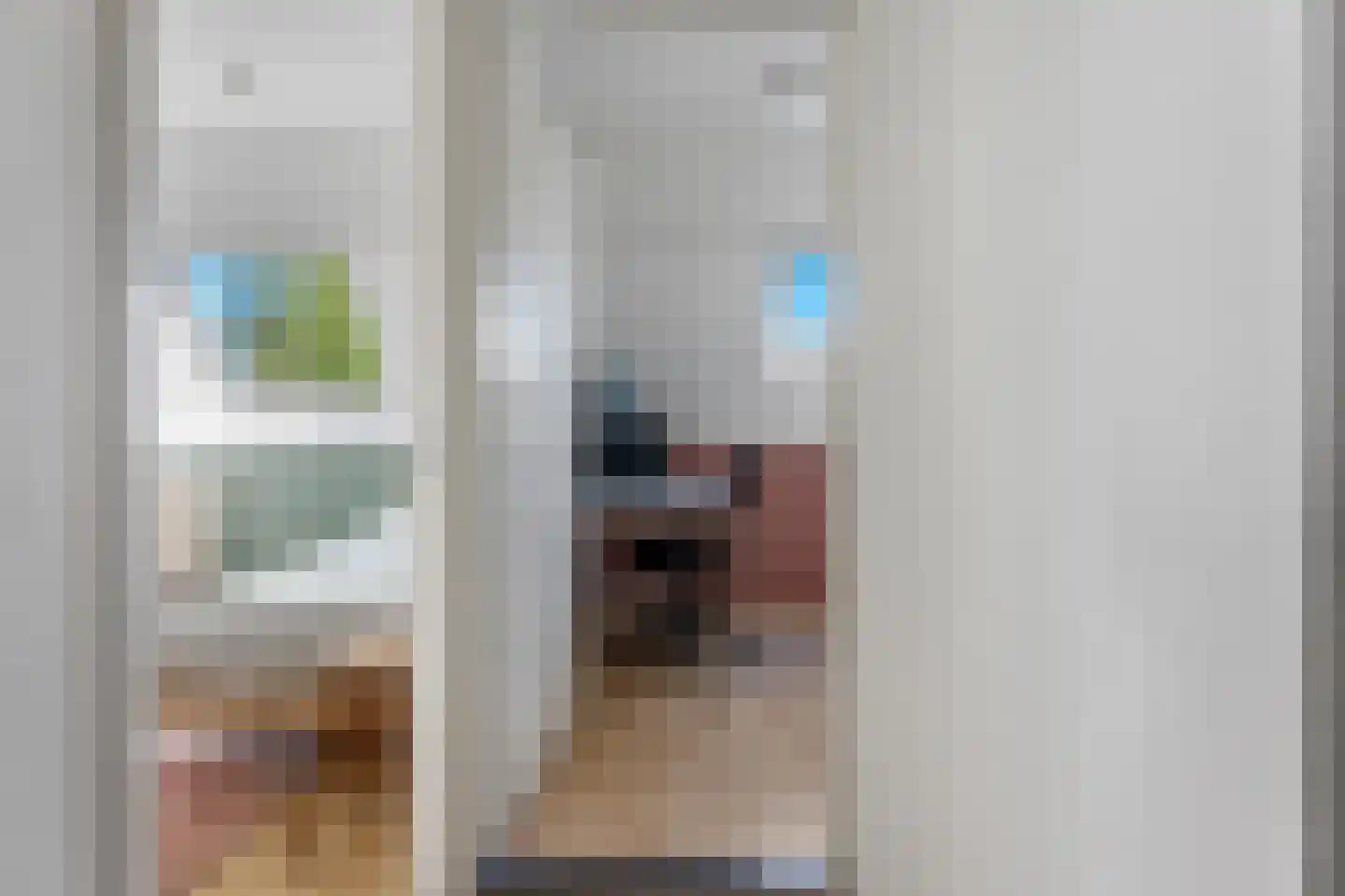 Kremersheerd 92 Groningen thumbnail 25