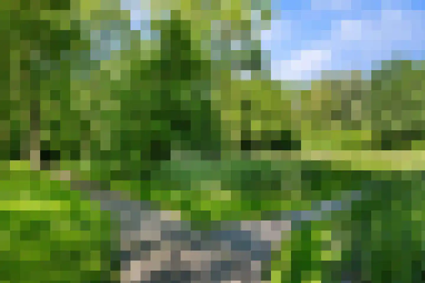 Kremersheerd 92 Groningen thumbnail 36