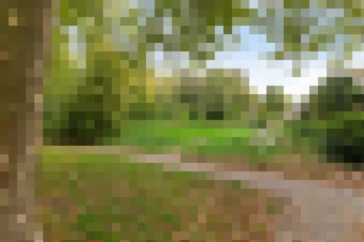 Kremersheerd 96 Groningen thumbnail 35