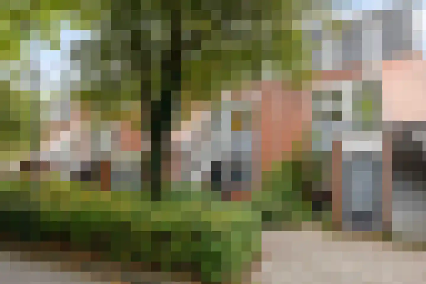 Kremersheerd 96 Groningen thumbnail 7