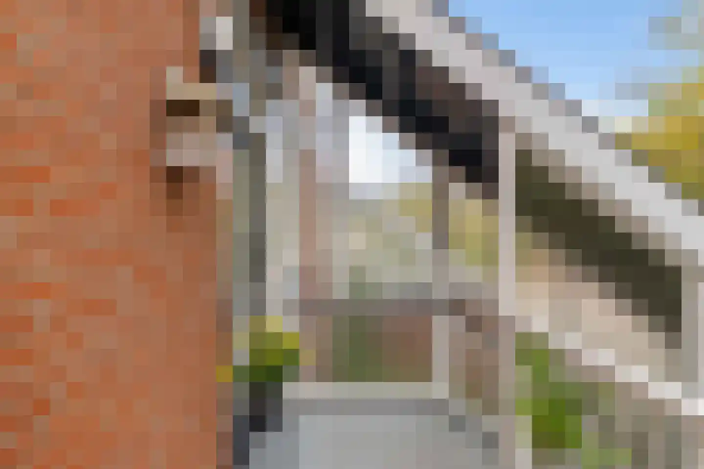 Kremersheerd 96 Groningen thumbnail 9