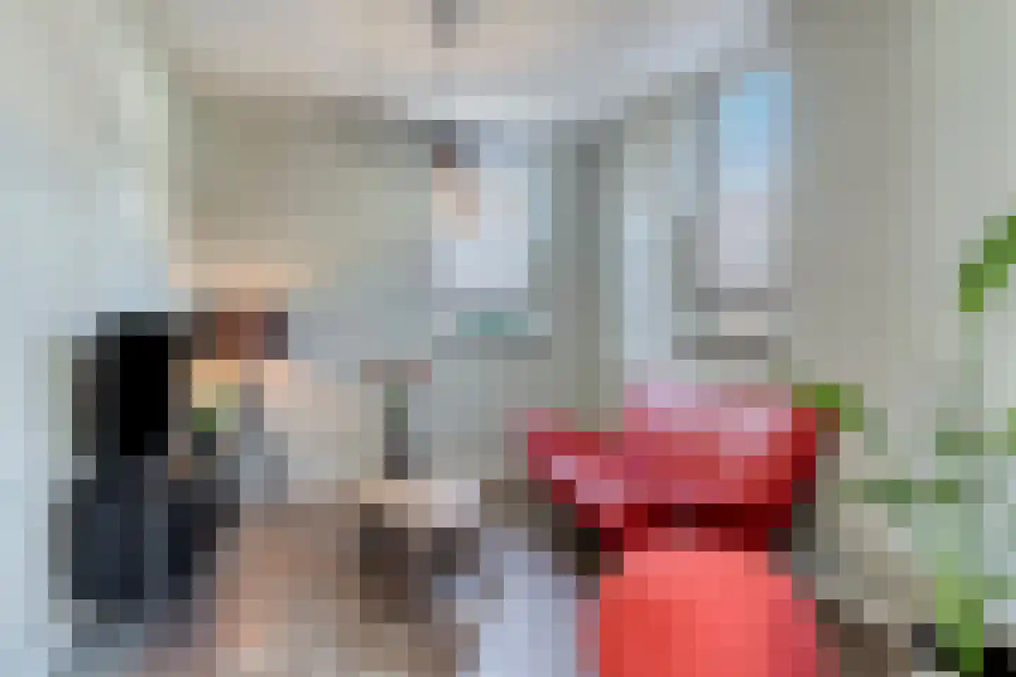 Kremerskamp 24 Ruurlo thumbnail 17