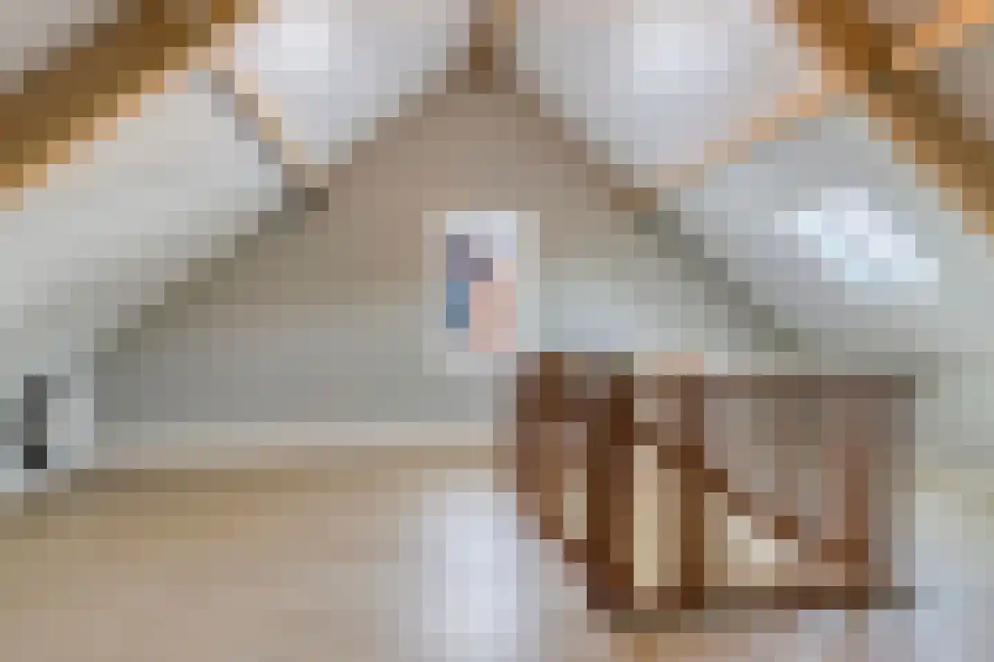 Kremerskamp 24 Ruurlo thumbnail 34