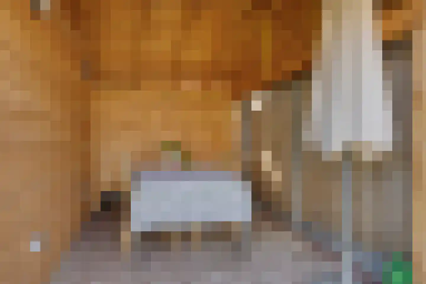 Kremerskamp 24 Ruurlo thumbnail 36