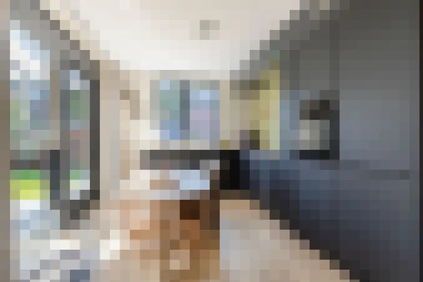 Kremerskamp 4 Ruurlo thumbnail 17