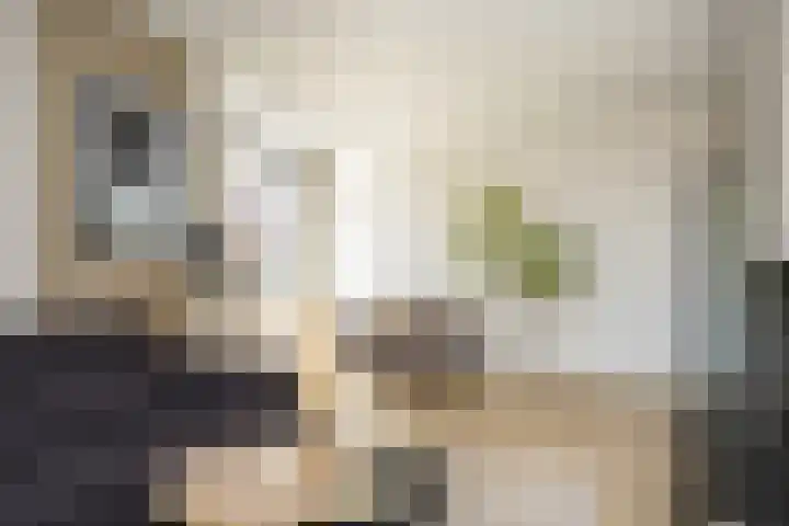 Kremerskamp 8 Ruurlo thumbnail 12