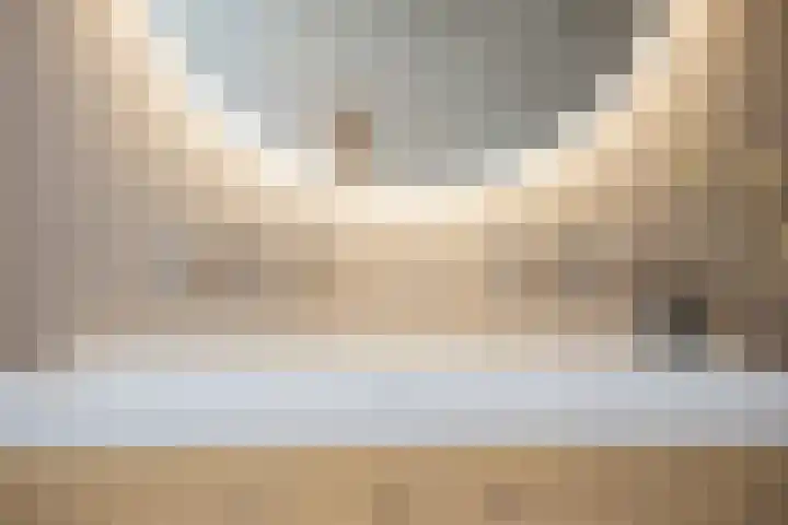 Kremerskamp 8 Ruurlo thumbnail 31