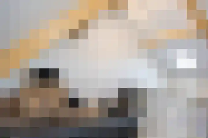 Kremerskamp 8 Ruurlo thumbnail 33