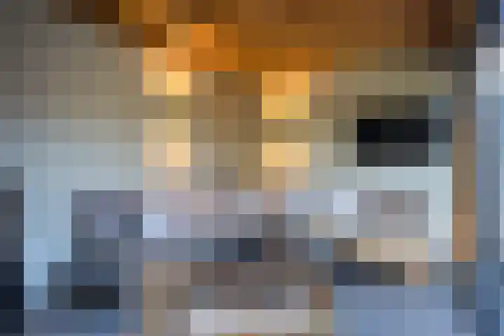 Kremerskamp 8 Ruurlo thumbnail 39