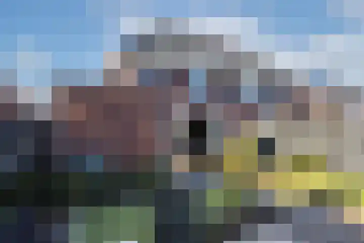 Kremerskamp 8 Ruurlo thumbnail 41