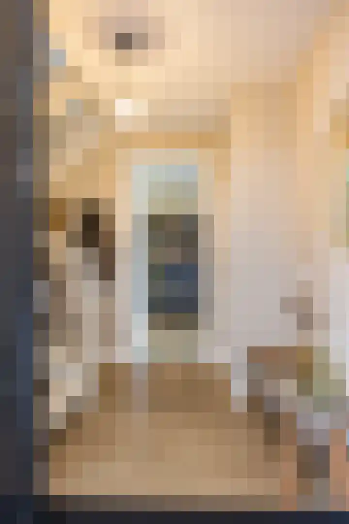 Kremerskamp 8 Ruurlo thumbnail 6