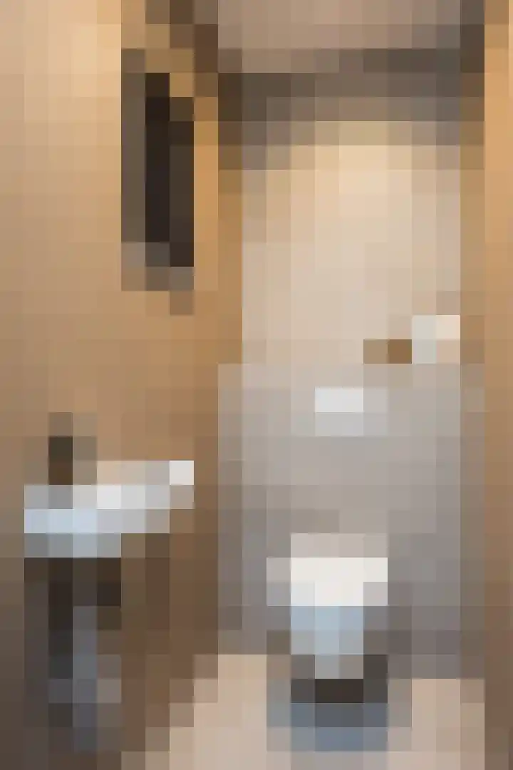 Kremerskamp 8 Ruurlo thumbnail 7