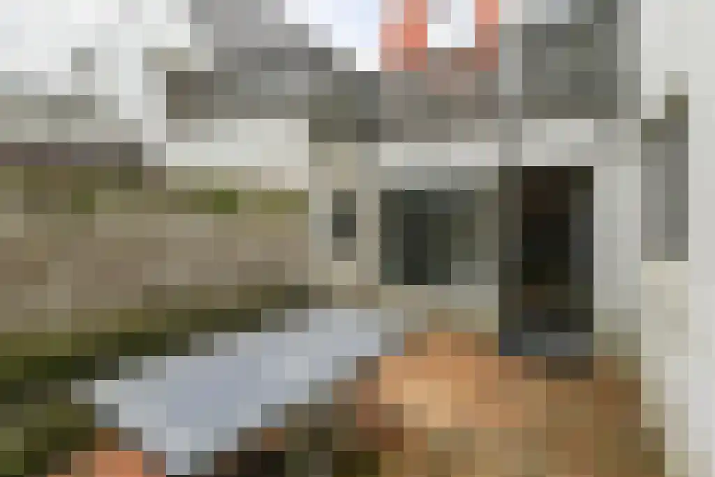 Kremerstraat 21 Bergen op Zoom thumbnail 20