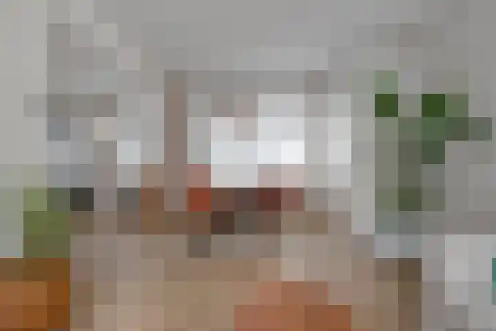 Kremerstraat 6 Oirschot thumbnail 13