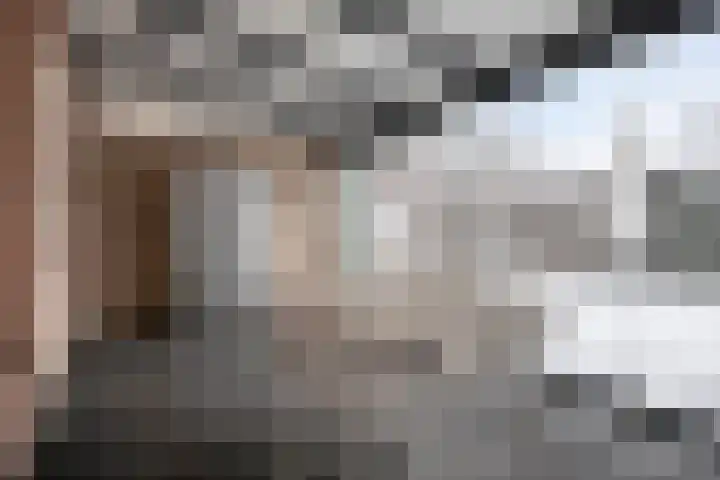 Kremerstraat 6 Oirschot thumbnail 36