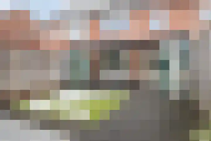 Kremerstraat 6 Oirschot thumbnail 5