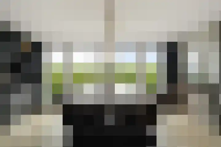 Kremersveenweg 12 Glane thumbnail 13