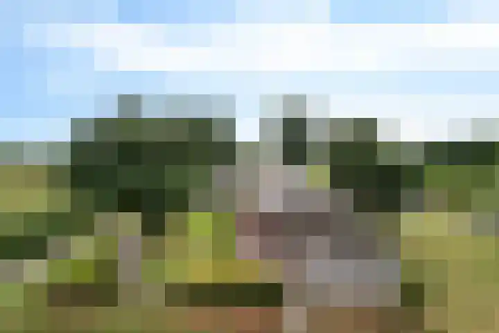 Kremersveenweg 12 Glane thumbnail 4