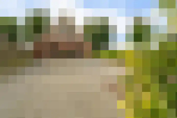 Kremersveenweg 12 Glane thumbnail 47