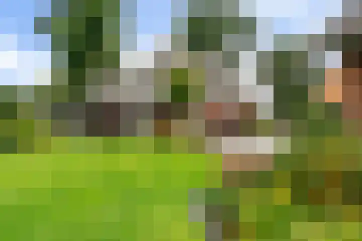 Kremersveenweg 12 Glane thumbnail 56