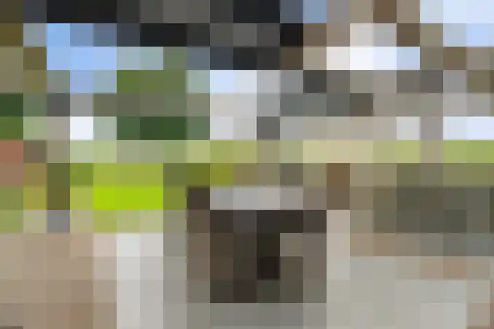 Kremersveenweg 12 Glane thumbnail 57