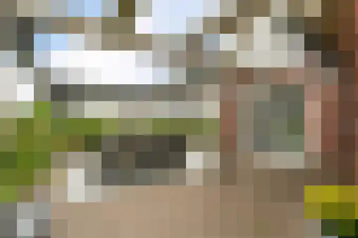 Kremersveenweg 12 Glane thumbnail 60