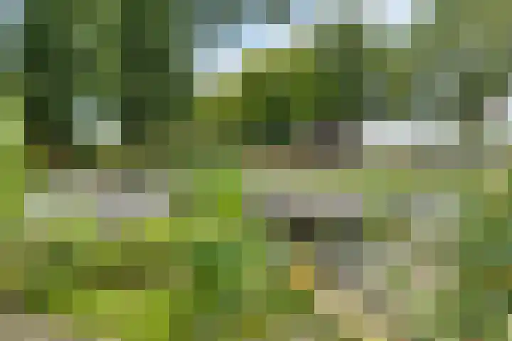 Kremersveenweg 12 Glane thumbnail 62