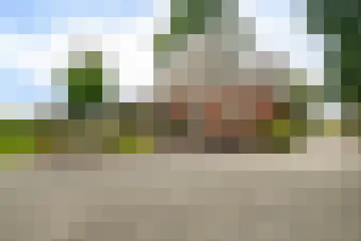Kremersveenweg 12 Glane thumbnail 64
