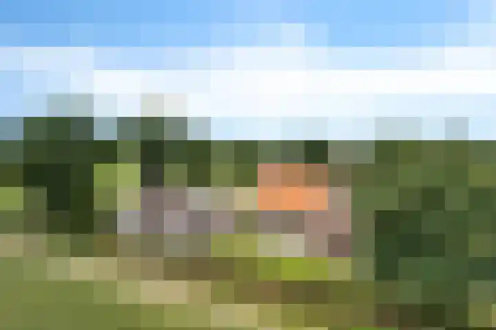 Kremersveenweg 12 Glane thumbnail 65