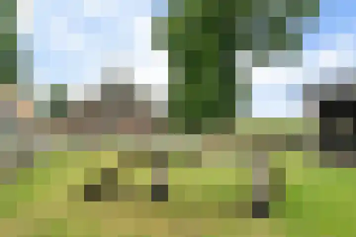 Kremersveenweg 12 Glane thumbnail 67
