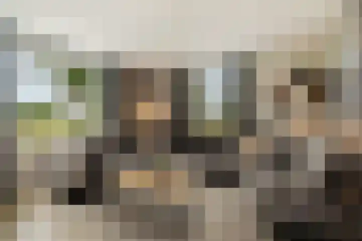 Kremersveenweg 12 Glane thumbnail 7