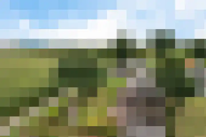 Kremersveenweg 12 Glane thumbnail 70