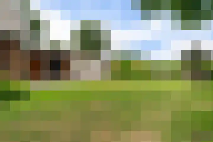 Kremersveenweg 12 Glane thumbnail 73