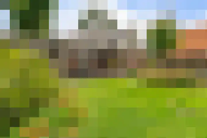 Kremersveenweg 12 Glane thumbnail 74