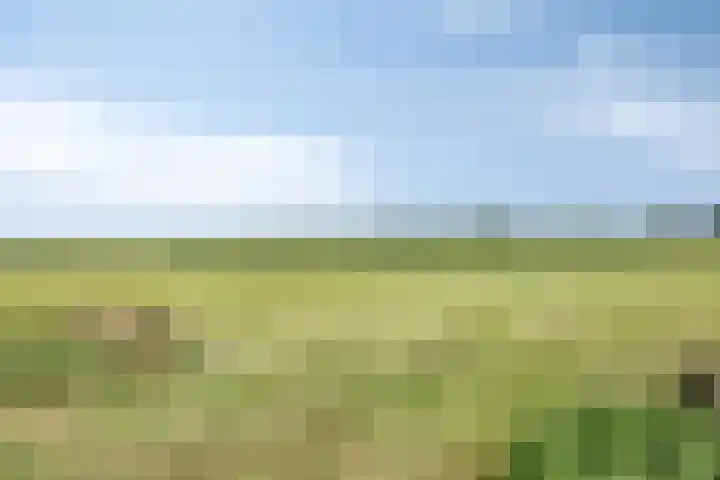 Kremersveenweg 41 Glane thumbnail 34