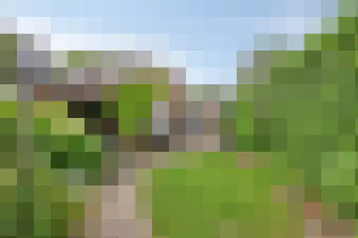 Kremersveenweg 41 Glane thumbnail 4