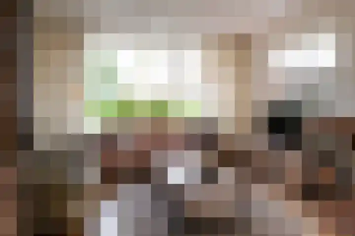 Kremersweg 1 Losser thumbnail 11