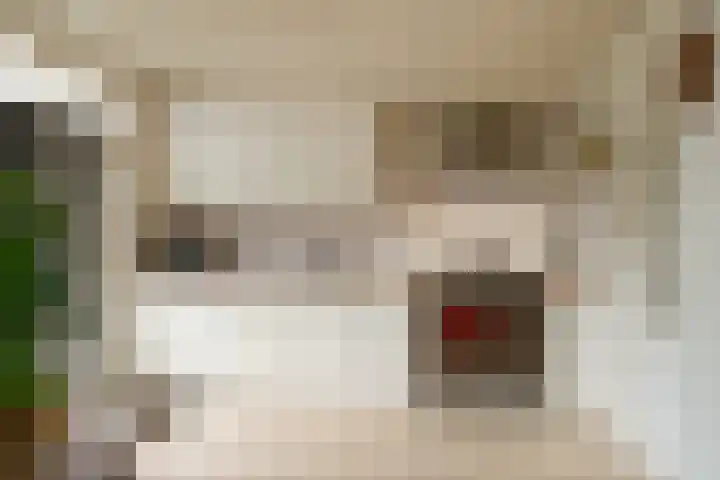 Kremersweg 1 Losser thumbnail 14
