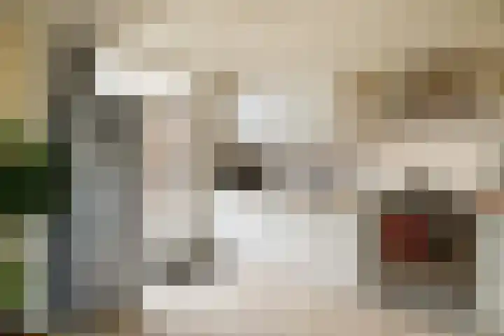Kremersweg 1 Losser thumbnail 15