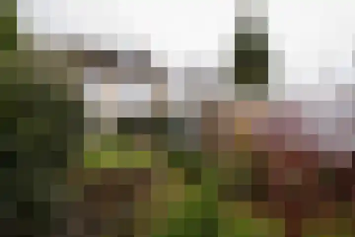 Kremersweg 1 Losser thumbnail 29