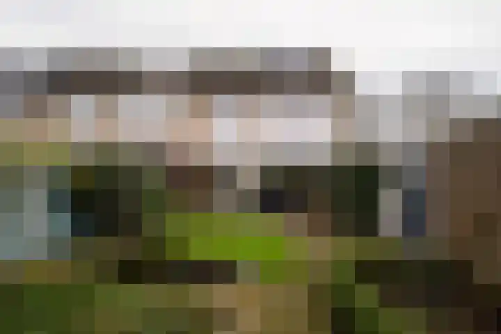 Kremersweg 1 Losser thumbnail 30