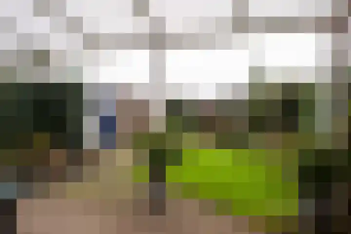 Kremersweg 1 Losser thumbnail 33