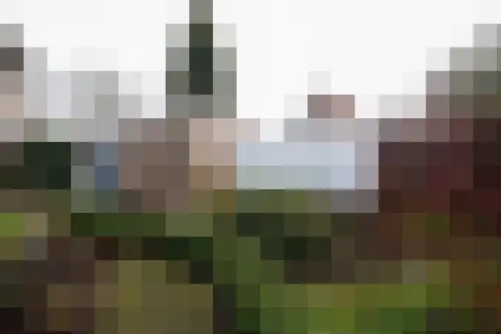 Kremersweg 1 Losser thumbnail 34