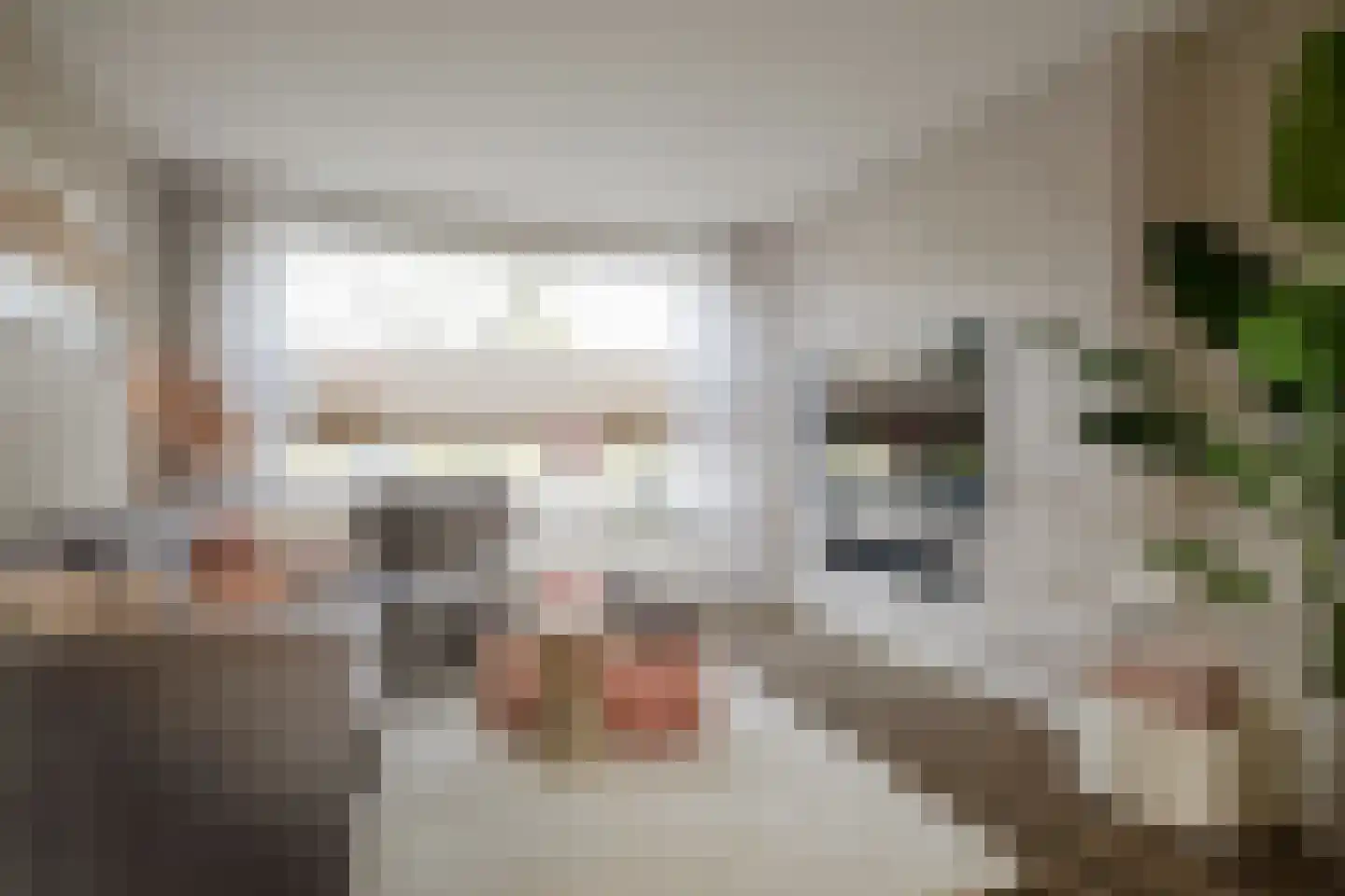 Kremersweg 11 Losser thumbnail 11