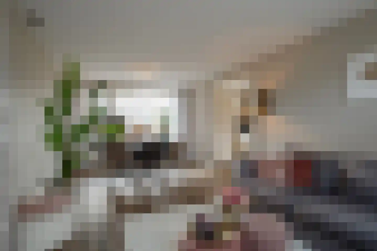 Kremersweg 11 Losser thumbnail 12