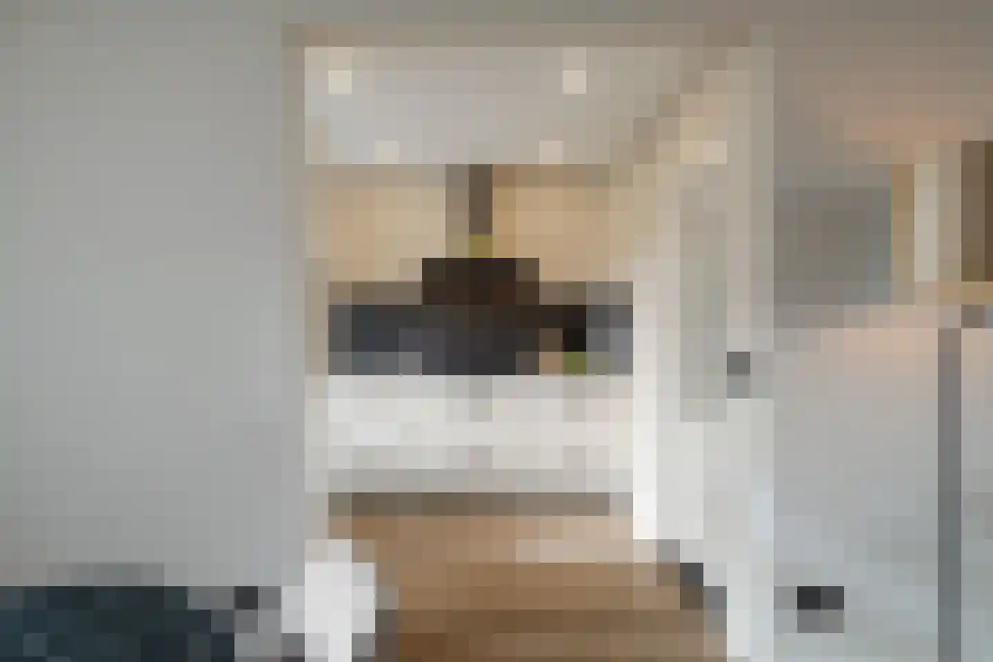 Kremersweg 11 Losser thumbnail 13