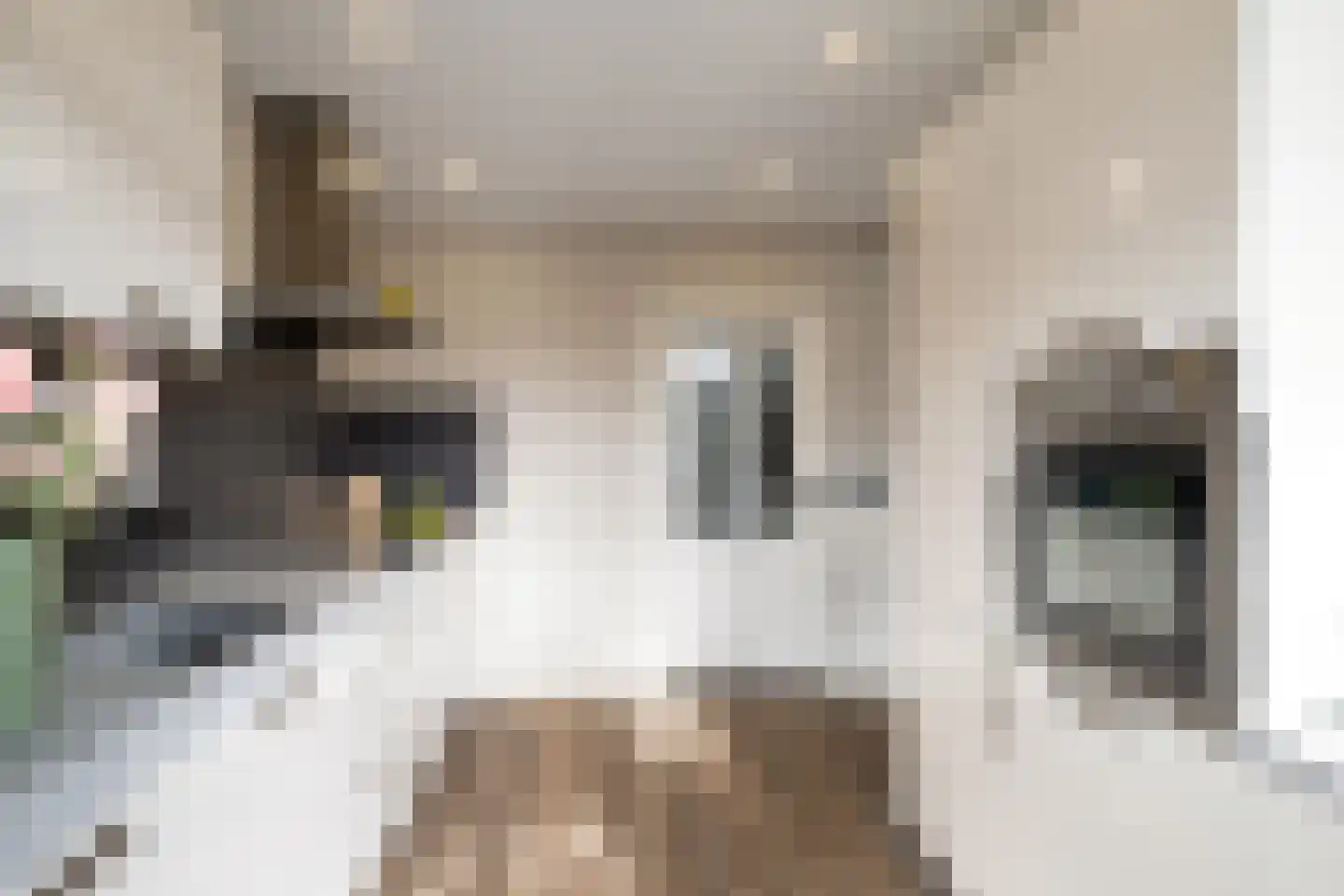 Kremersweg 11 Losser thumbnail 15