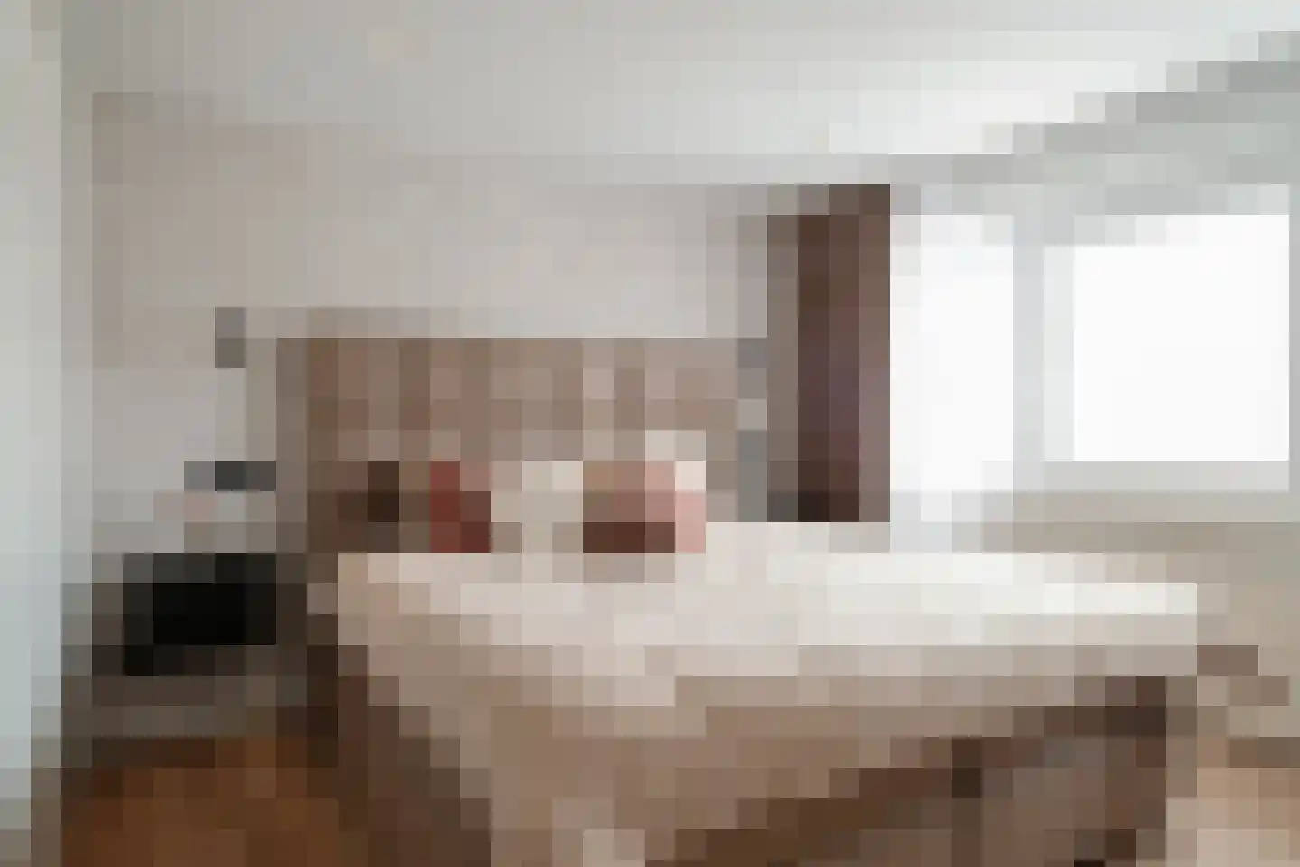 Kremersweg 11 Losser thumbnail 19